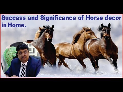 Success and Significance of Horse decor in Home.