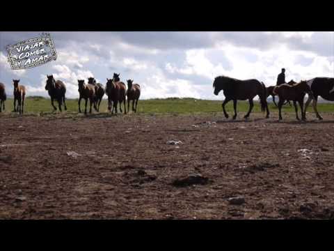 Caballos nomadas Visitar Mongolia Turismo Aventura/Horses nomad families Visit Mongolia Adventure