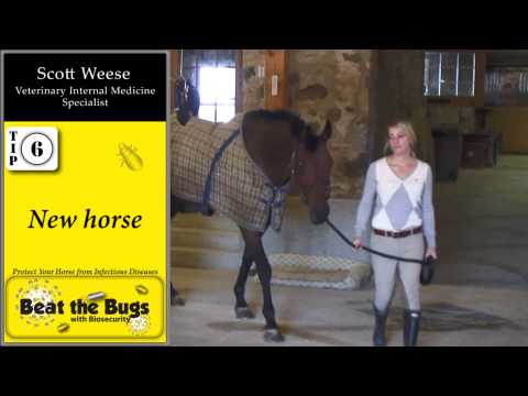 Infection Disease Control tips for Horse Farms - Dr. Scott Weese