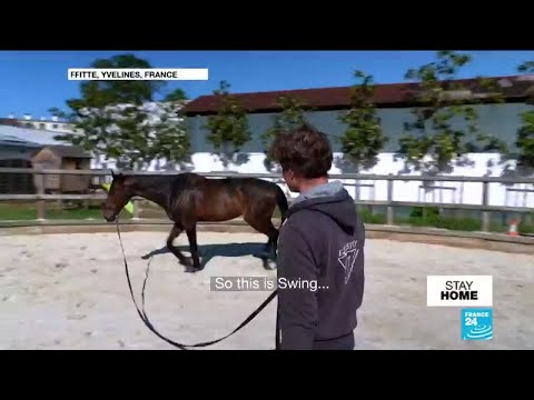 Hit by coronavirus, can France&#039;s equestrian sector stay afloat?