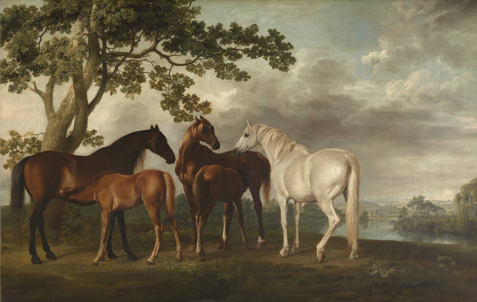 Federa Per Cuscino Rettangolare 30x50 Cm Con Stampa Pittura Equestre Di George Stubbs - Cavalle E Puledri - Foto 3