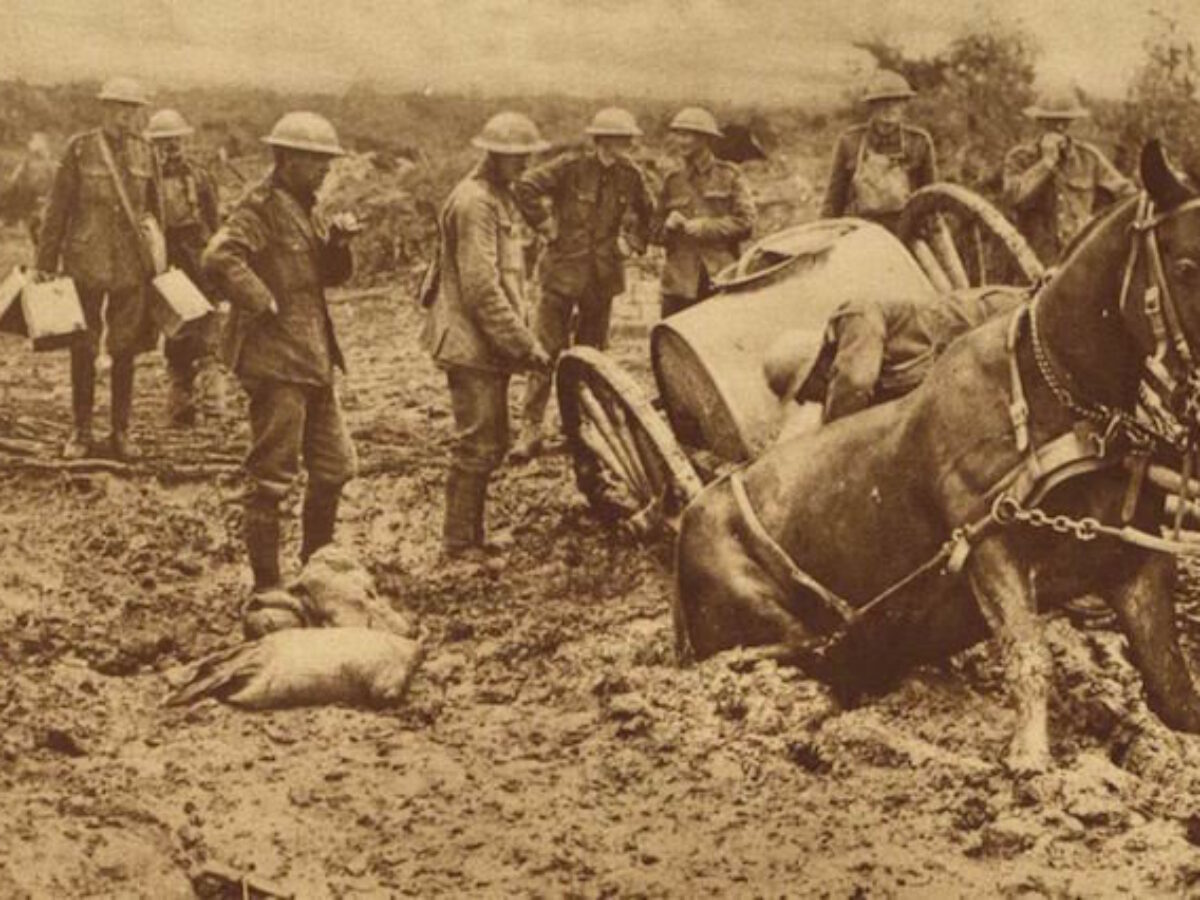 Caballos en la Primera Guerra Mundial - Gustavo Mirabal Castro