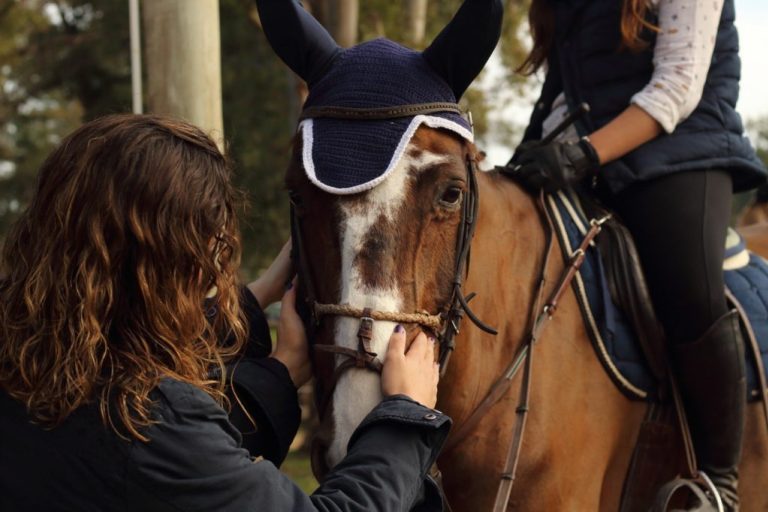 6 Essentials Of Equestrian Safety By Gustavo Mirabal | Gustavo Mirabal