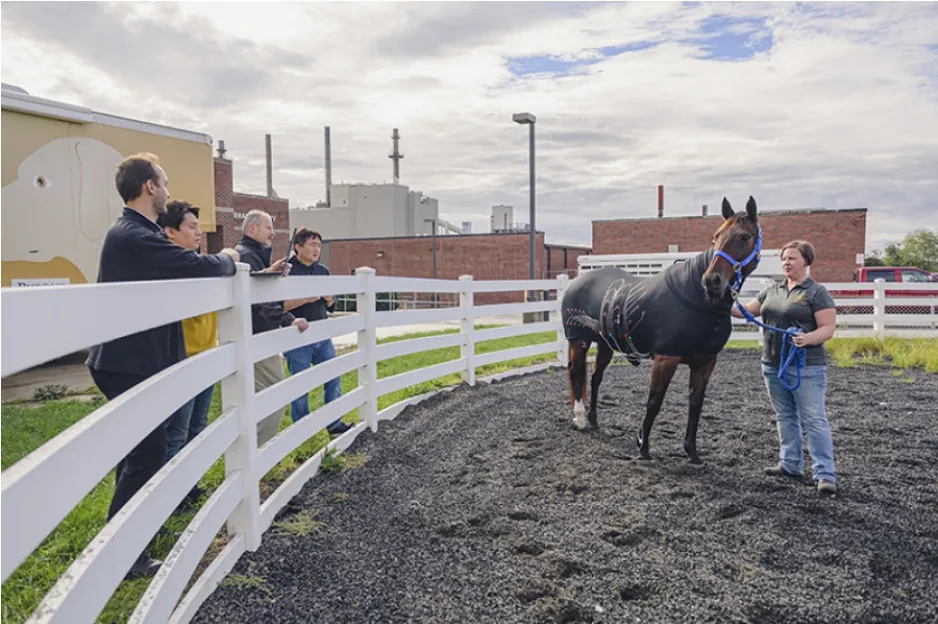 Una prenda inteligente para detectar enfermedades en caballos - Avances para la equitación moderna