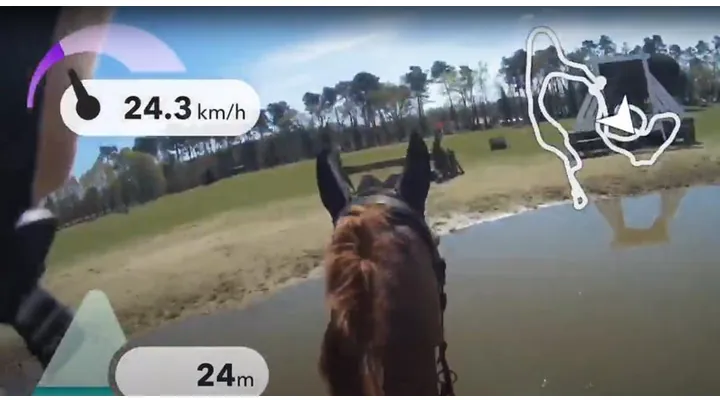 A smart garment to detect diseases in horses - Technological advaces in riding